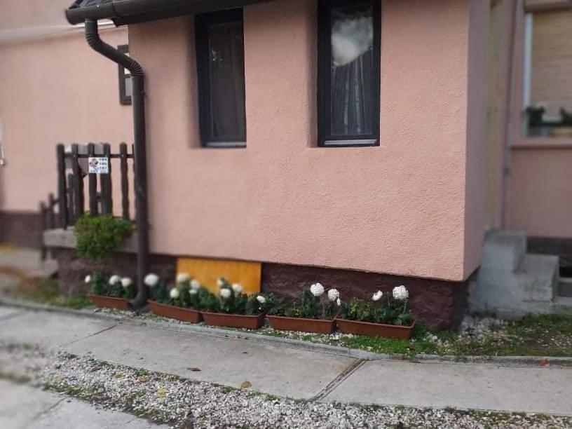 Malomtavi Vendeghaz Tapolca酒店 外观 照片